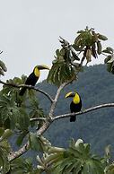 Arenal cautiva