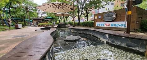 Brown Dot Hot Spring Yu-Seong