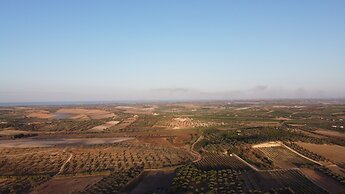 Mennuli & Alivi Organic Farm