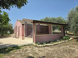 Mennuli & Alivi Organic Farm