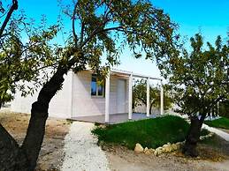 Mennuli & Alivi Organic Farm