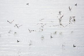 Three types of cloud river snow shops