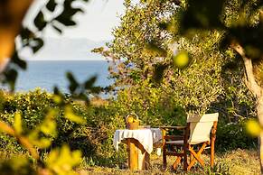 Petalidi Sunny Home One - Charming Garden Nest