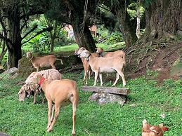 Boquete Cloud Forest Lodge