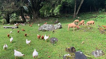Boquete Cloud Forest Lodge