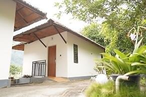 Mango Village