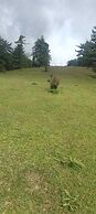Royal Parshar Lake Home Stay