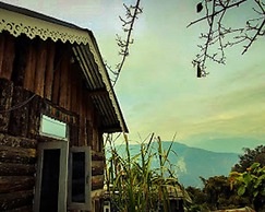 Yangsum Village Homestay