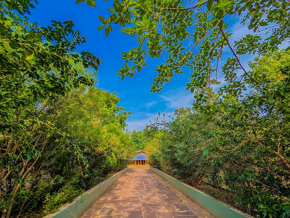 Syna Jungle Resort - Shahdar