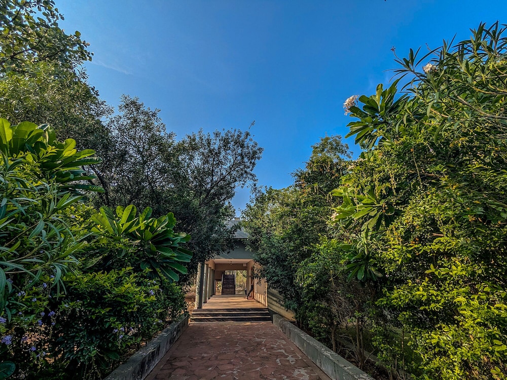 Syna Jungle Resort - Shahdar