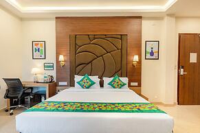 Treebo Premium Pine Tree Courtyard