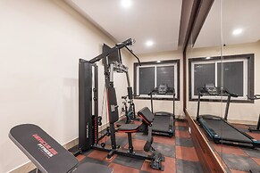 Treebo Premium Pine Tree Courtyard