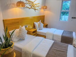 Eco Palm Maldives