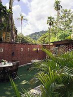 Serene Palm Heritage Tropical Villa