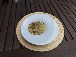 Lo Cel De Tolo