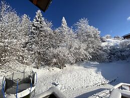Little Chalet Piguet