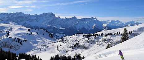 Little Chalet Piguet