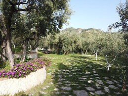 Il Mandorlo