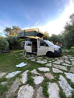 Il Mandorlo