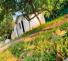 sree veda wellness resort