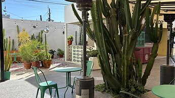 Coyote Lofts