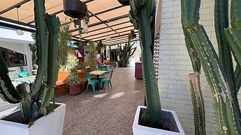 Coyote Lofts