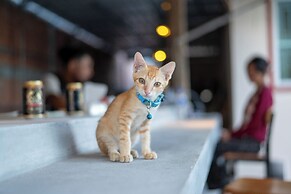 Teko Paradise and Kitchen