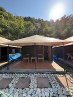 Aquatic resort