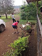 Tadmal Retreat N Resort
