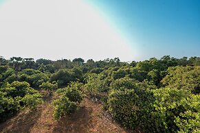 White Forest - PV Hotels