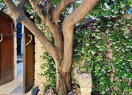 Artist Quarter Guesthouse B&B