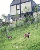 Solitude Villa Tahura