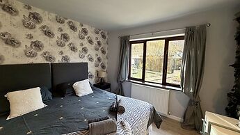 Pheasants Haunt in Paignton