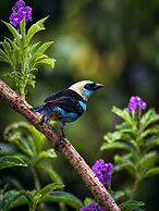 Casa Colibri Chirripo