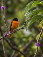 Casa Colibri Chirripo