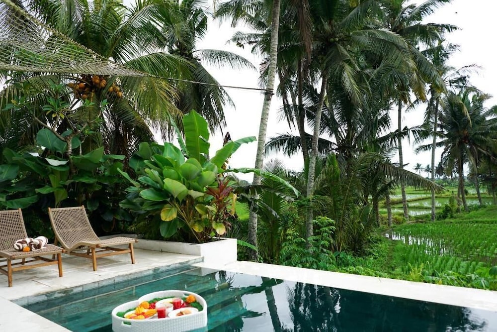 Dzen Greenfield Villa 9