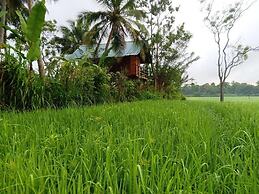 Sigiri Paddy Field Hut