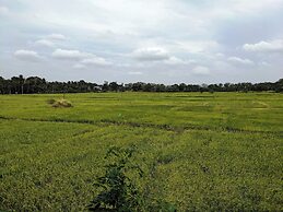 Sigiri Paddy Field Hut