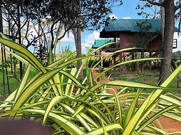 Sigiri Paddy Field Hut