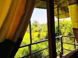 Sigiri Paddy Field Hut