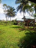 Sigiri Paddy Field Hut