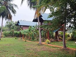 Sigiri Paddy Field Hut