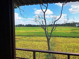 Sigiri Paddy Field Hut