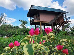 Sigiri Paddy Field Hut