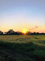 Sigiri Paddy Field Hut