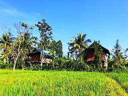 Sigiri Paddy Field Hut