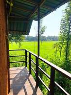 Sigiri Paddy Field Hut
