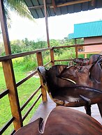 Sigiri Paddy Field Hut