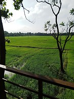 Sigiri Paddy Field Hut