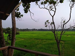 Sigiri Paddy Field Hut